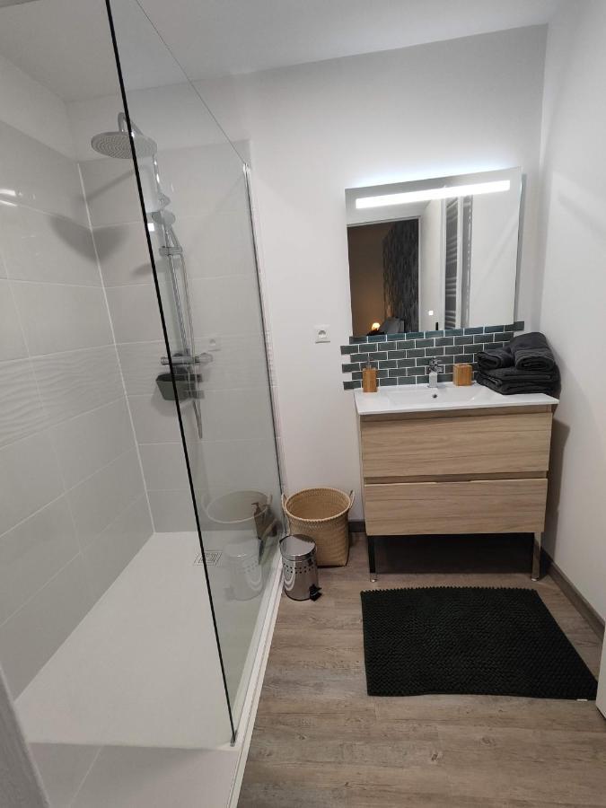O Loft - 3 Chambres Avec 3 Salles De Bains - Parking - Climatisation Albi Luaran gambar