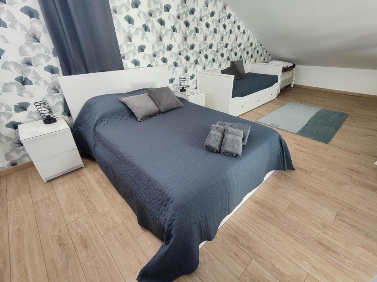 O Loft - 3 Chambres Avec 3 Salles De Bains - Parking - Climatisation Albi Luaran gambar