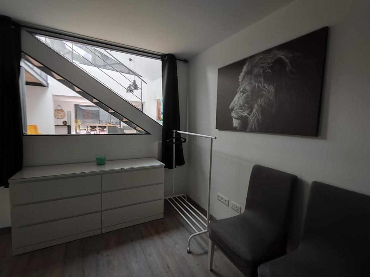 O Loft - 3 Chambres Avec 3 Salles De Bains - Parking - Climatisation Albi Luaran gambar