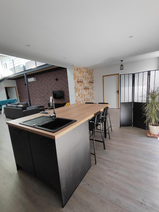 O Loft - 3 Chambres Avec 3 Salles De Bains - Parking - Climatisation Albi Luaran gambar